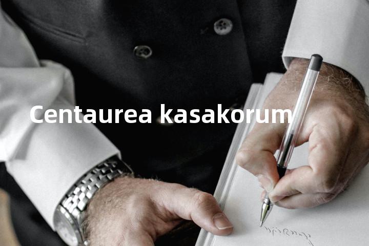 Centaurea kasakorum单词图解，单词释义场景配图