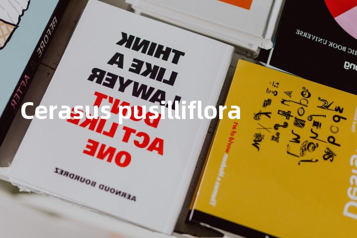 Cerasus pusilliflora单词图解，单词释义场景配图