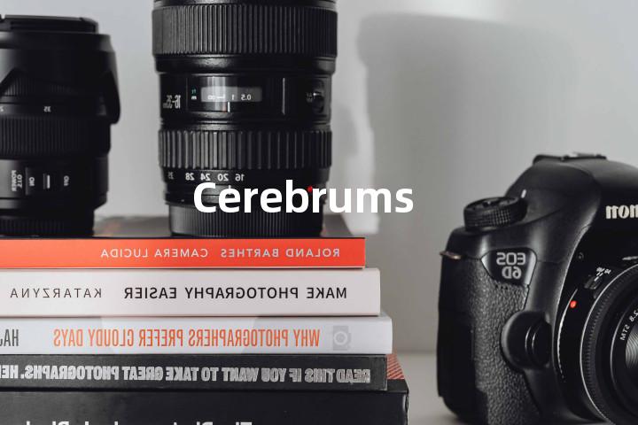 Cerebrums