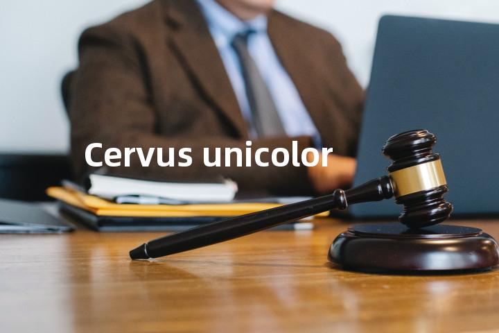 Cervus unicolor单词图解，单词释义场景配图