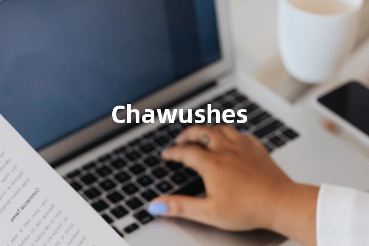 Chawushes单词图解，单词释义场景配图