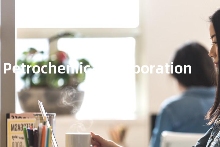 China Petrochemical Corporation单词图解，单词释义场景配图