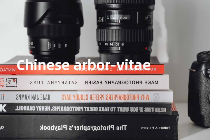 Chinese arbor-vitae单词图解，单词释义场景配图