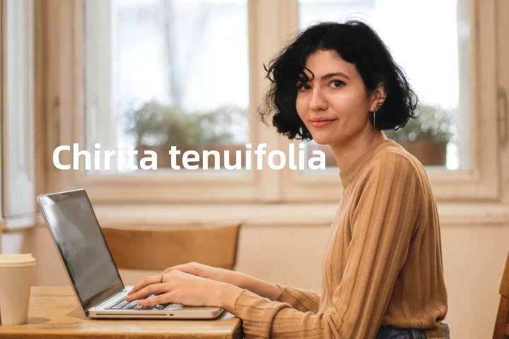 Chirita tenuifolia单词图解，单词释义场景配图