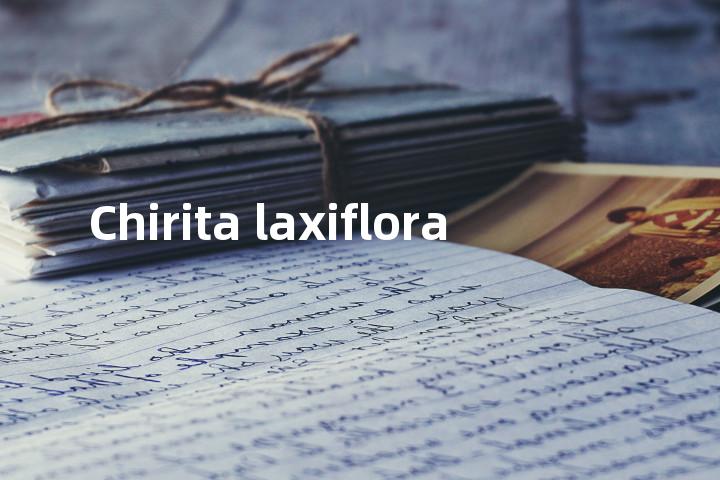 Chirita laxiflora单词图解，单词释义场景配图