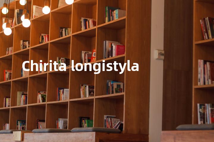 Chirita longistyla单词图解，单词释义场景配图