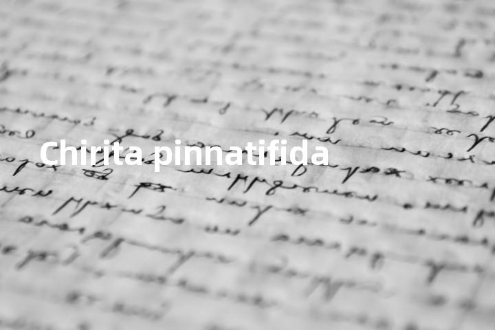 Chirita pinnatifida单词图解，单词释义场景配图