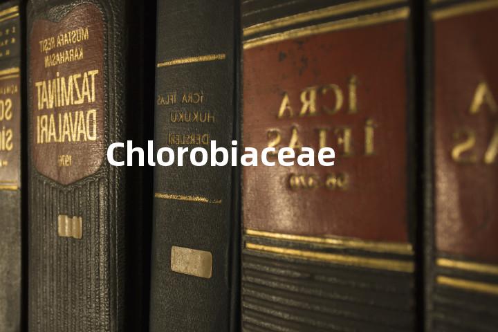 Chlorobiaceae单词图解，单词释义场景配图