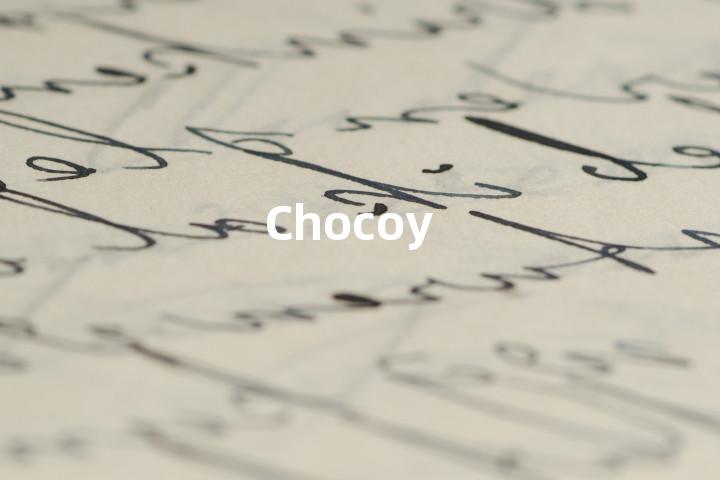 Chocoy单词图解，单词释义场景配图
