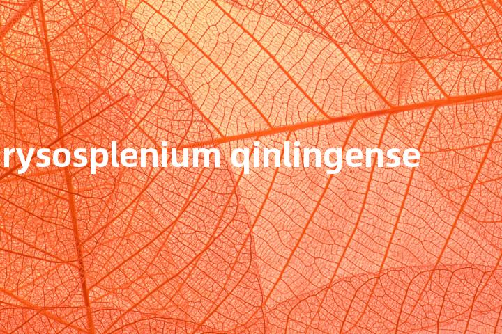 Chrysosplenium qinlingense单词图解，单词释义场景配图