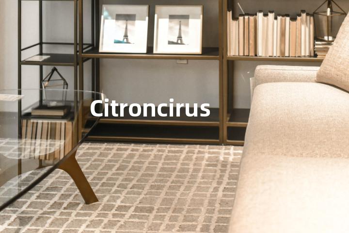 Citroncirus单词图解，单词释义场景配图
