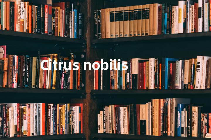 Citrus nobilis单词图解，单词释义场景配图