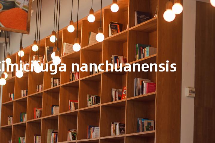 Cimicifuga nanchuanensis单词图解，单词释义场景配图