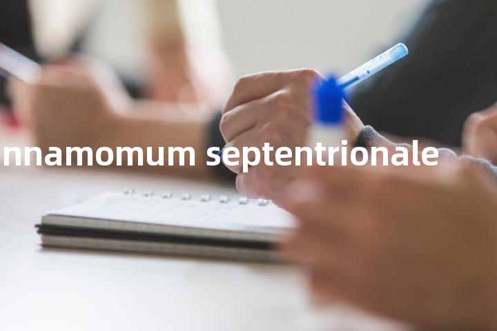 Cinnamomum septentrionale单词图解，单词释义场景配图