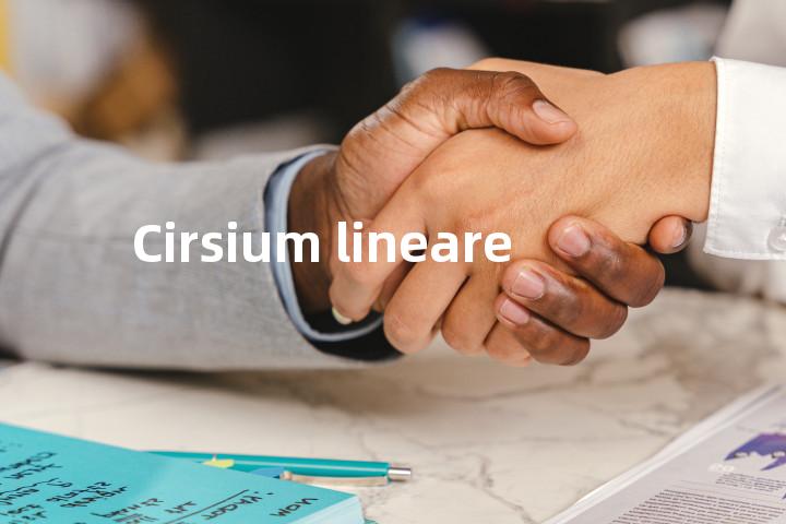 Cirsium lineare单词图解，单词释义场景配图