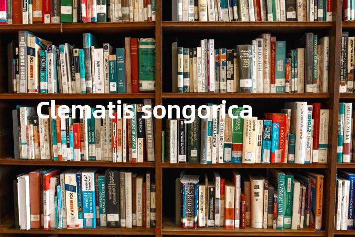 Clematis songorica单词图解，单词释义场景配图