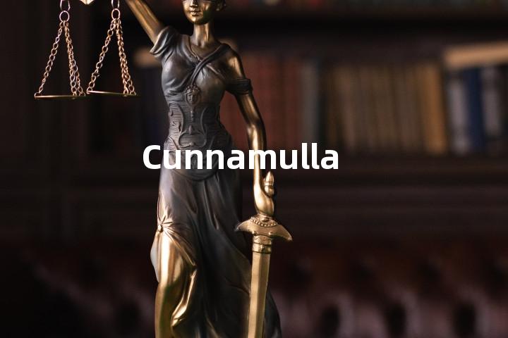 Cunnamulla单词图解，单词释义场景配图
