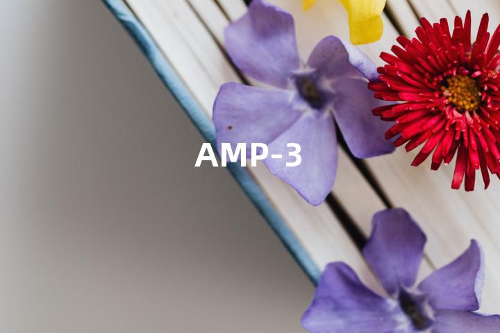 AMP-3单词图解，单词释义场景配图