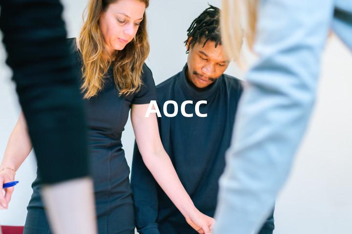 AOCC单词图解，单词释义场景配图