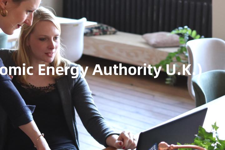 AEA (Atomic Energy Authority U.K.)单词图解，单词释义场景配图