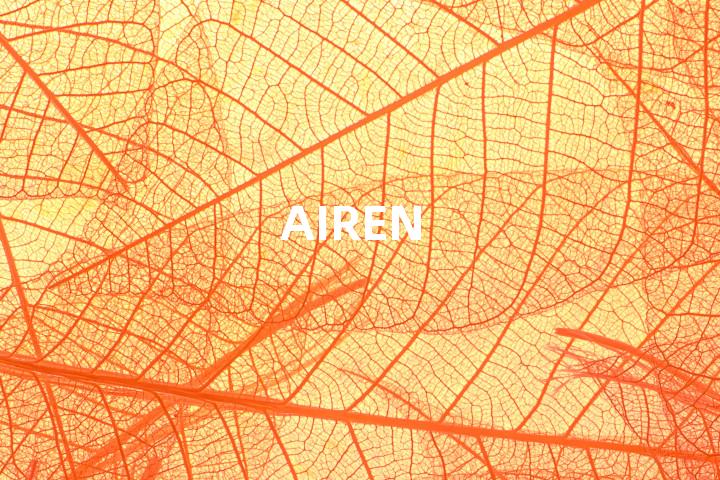 AIREN单词图解，单词释义场景配图