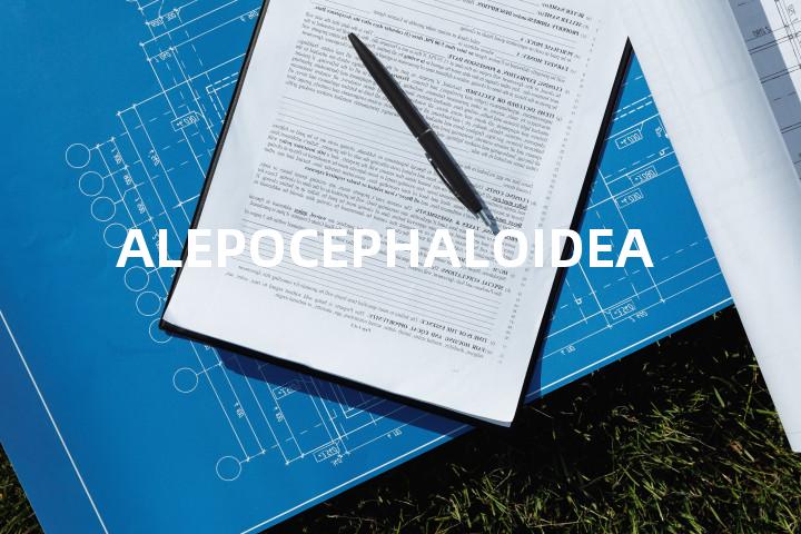 ALEPOCEPHALOIDEA单词图解，单词释义场景配图
