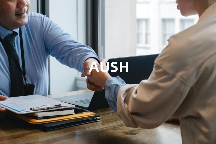 AUSH单词图解，单词释义场景配图