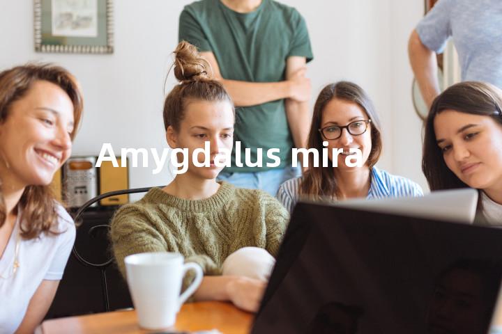 Amygdalus mira单词图解，单词释义场景配图