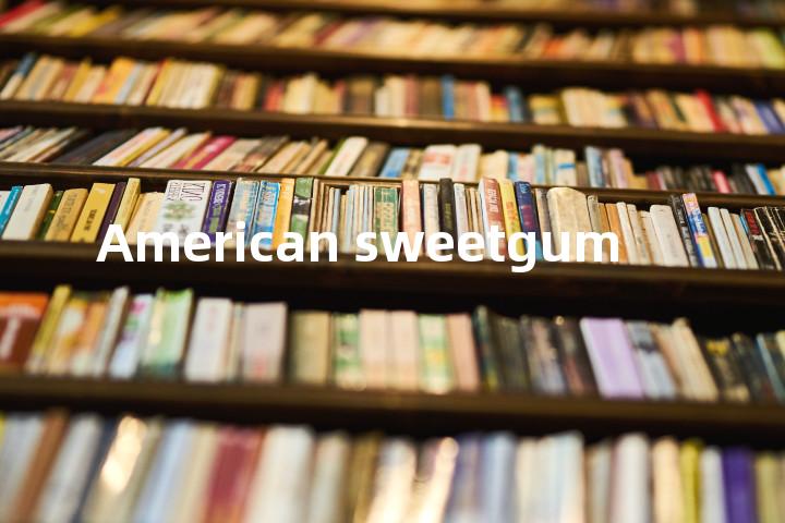 American sweetgum单词图解，单词释义场景配图