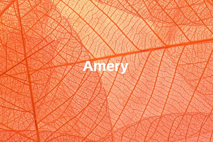 Amery单词图解，单词释义场景配图