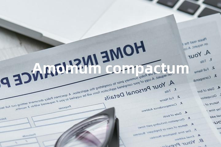 Amomum compactum单词图解，单词释义场景配图