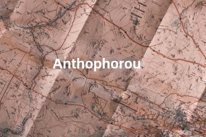 Anthophorous