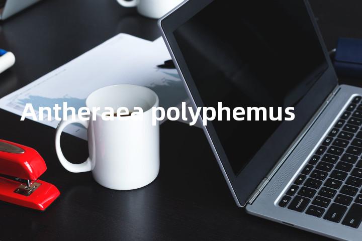 Antheraea polyphemus单词图解，单词释义场景配图