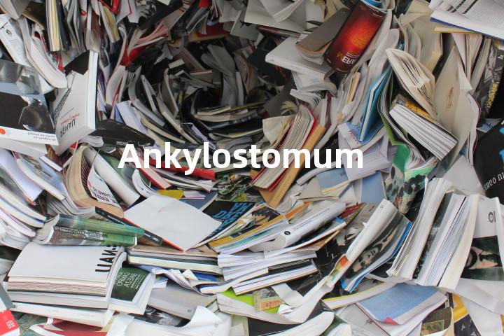 Ankylostomum单词图解，单词释义场景配图