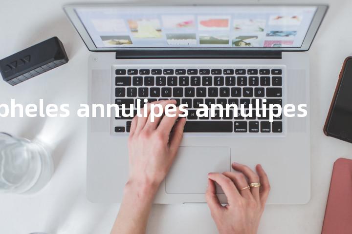 Anopheles annulipes annulipes单词图解，单词释义场景配图