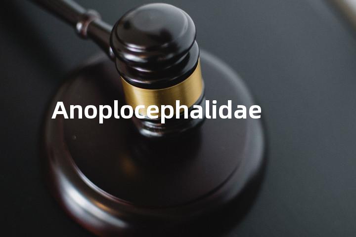 Anoplocephalidae单词图解，单词释义场景配图