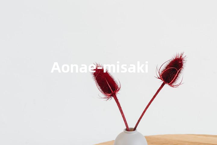 Aonae-misaki单词图解，单词释义场景配图