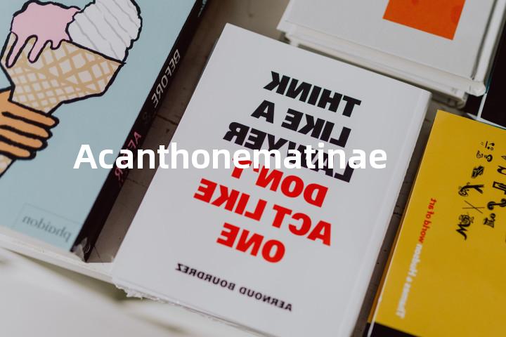 Acanthonematinae单词图解，单词释义场景配图