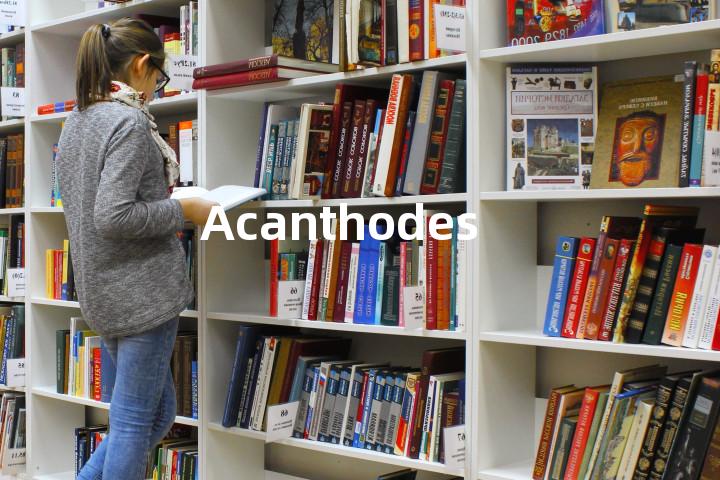 Acanthodes单词图解，单词释义场景配图