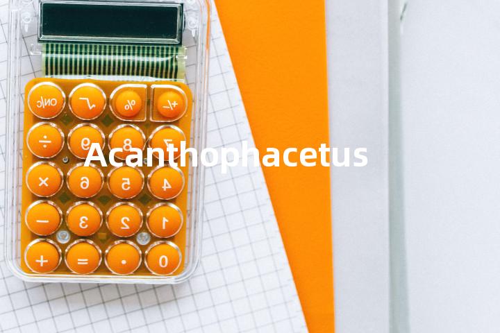 Acanthophacetus单词图解，单词释义场景配图