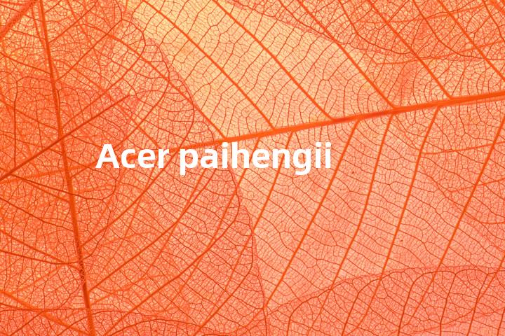 Acer paihengii单词图解，单词释义场景配图