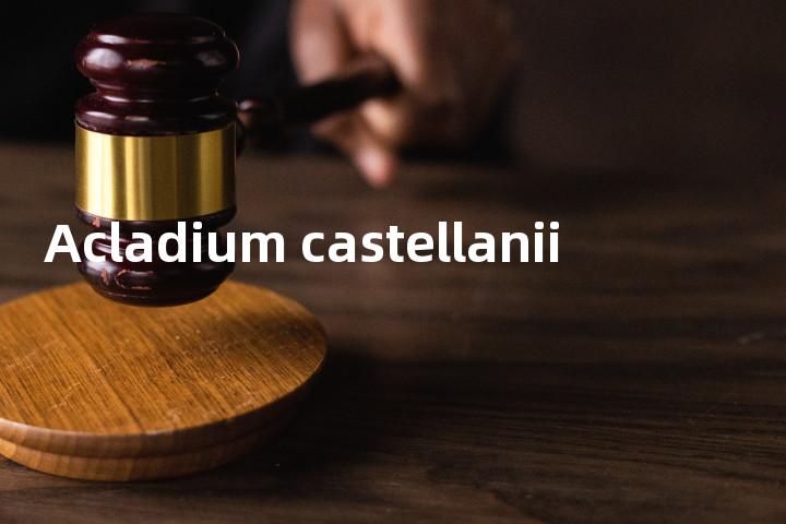 Acladium castellanii单词图解，单词释义场景配图
