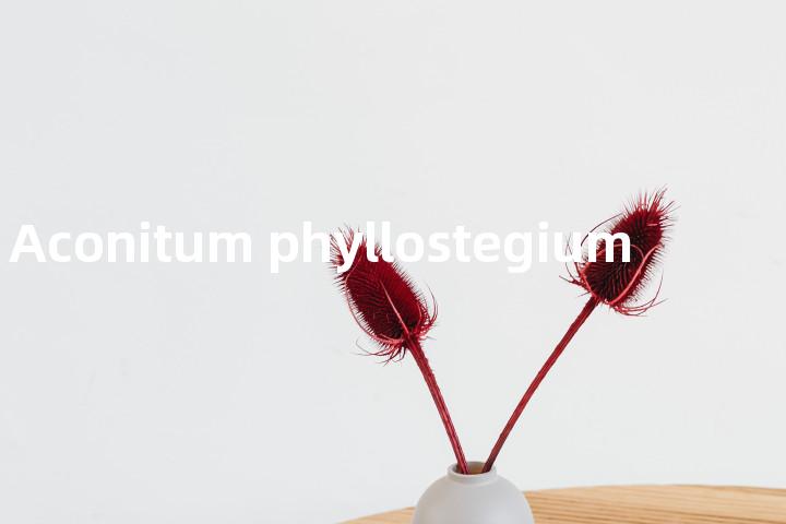 Aconitum phyllostegium单词图解，单词释义场景配图