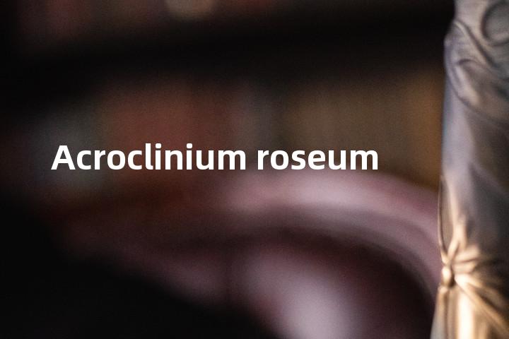 Acroclinium roseum单词图解，单词释义场景配图