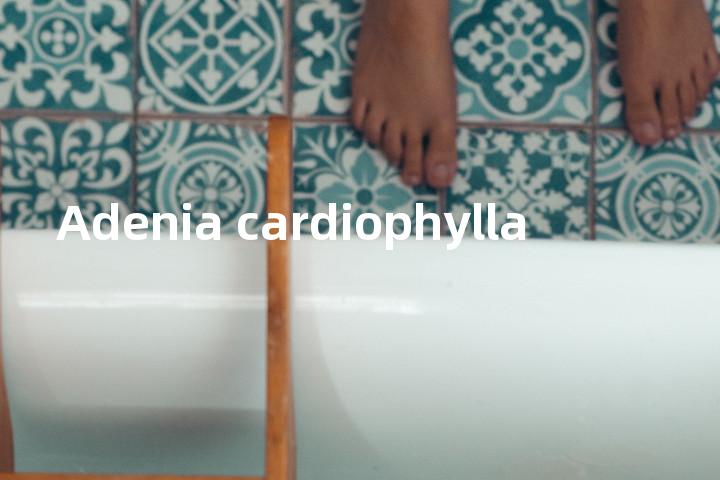 Adenia cardiophylla单词图解，单词释义场景配图