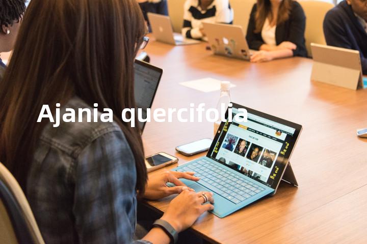 Ajania quercifolia单词图解，单词释义场景配图