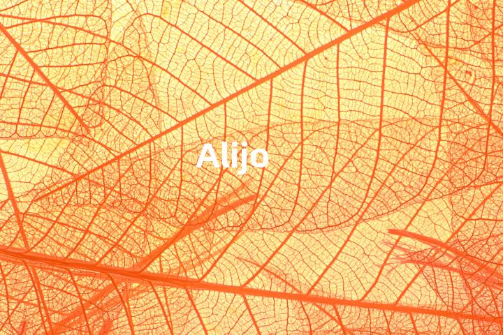 Alijo单词图解，单词释义场景配图