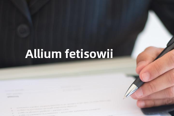 Allium fetisowii单词图解，单词释义场景配图
