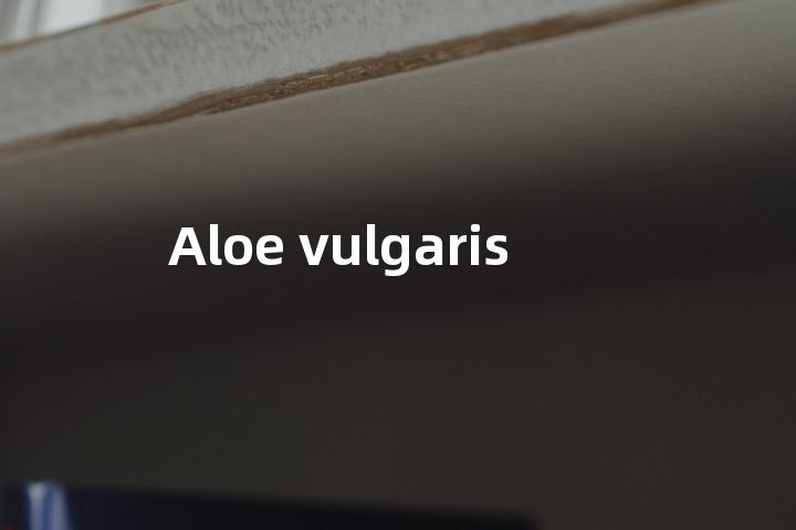 Aloe vulgaris单词图解，单词释义场景配图