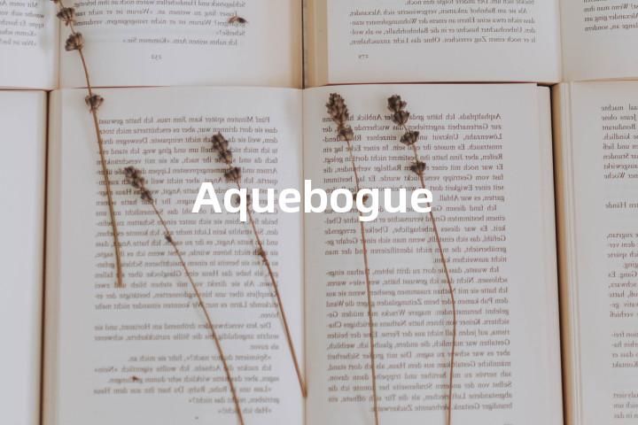 Aquebogue单词图解，单词释义场景配图